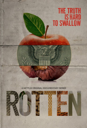 couverture film Rotten