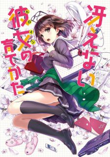couverture film Saenai Heroine no Sodatekata