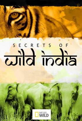 couverture film Secrets of Wild India