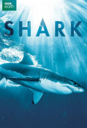 couverture film Shark