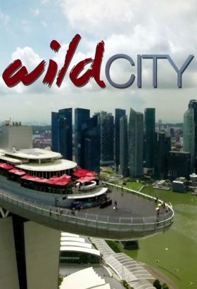 couverture film Singapore: Wild City