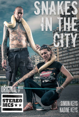 couverture film Snakes In The City