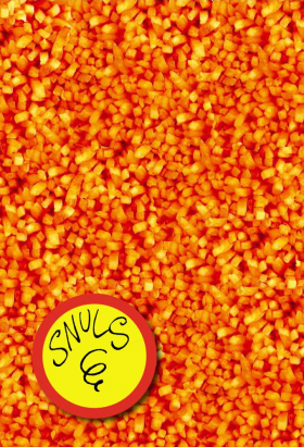 couverture film Snuls