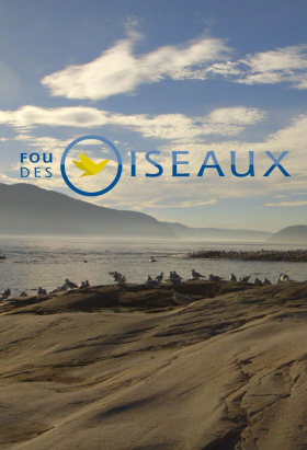 couverture film Soillse