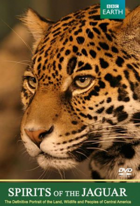 couverture film Spirits of the Jaguar