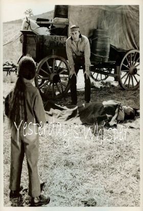couverture film Star Musketeer Bismark