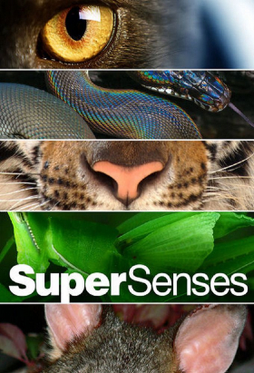 couverture film Super Senses