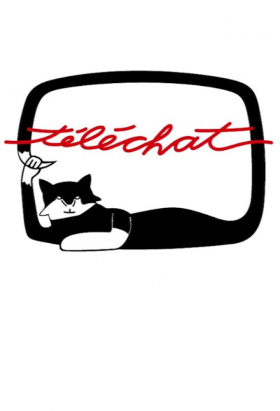 couverture film Téléchat