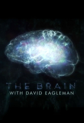 couverture film The Brain with David Eagleman