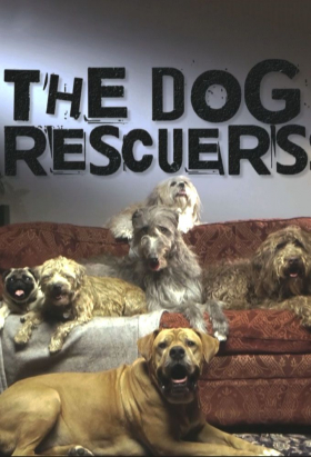 couverture film The Dog Rescuers