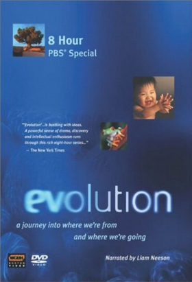 couverture film The Great Treehouse Challenge