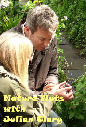 couverture film The Guardian Film Show