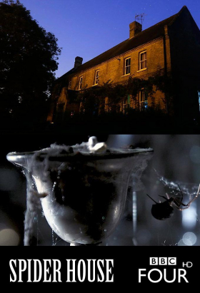 couverture film The History Detectives