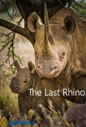 couverture film The Last Rhino