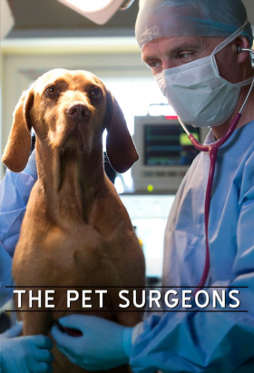 couverture film The Pet Surgeons