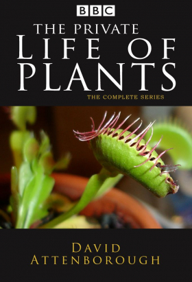 couverture film The Private Life of Plants