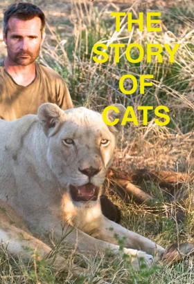 couverture film The Story of Cats