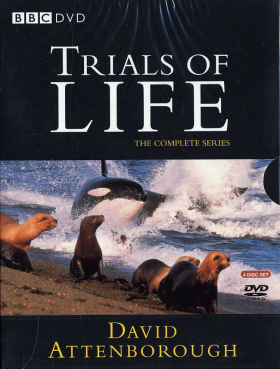 couverture film The Trials of Life