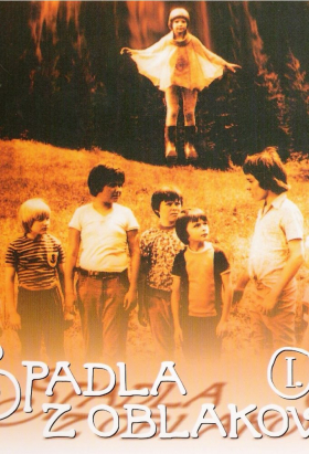couverture film The Wasteland
