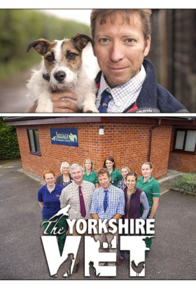 couverture film The Yorkshire Vet