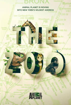couverture film The Zoo (2017)