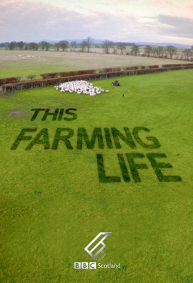 couverture film This Farming Life