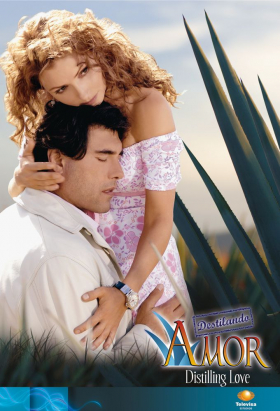 couverture film Time to Love