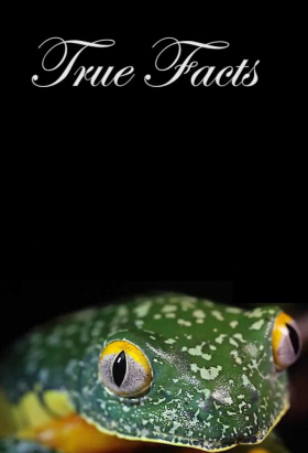 couverture film True Facts