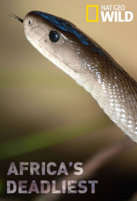 couverture film Vanguard