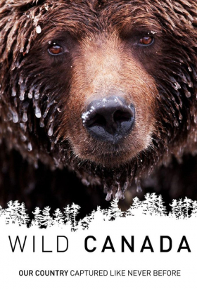 couverture film Wild Canada