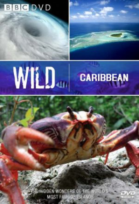 couverture film Wild Caribbean