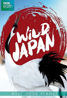couverture film Wild Japan