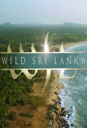 couverture film Wild Sri Lanka