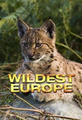 couverture film Wildest Europe
