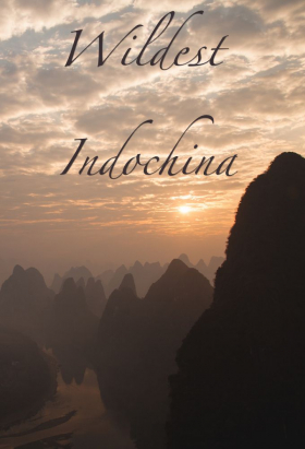 couverture film Wildest Indochina