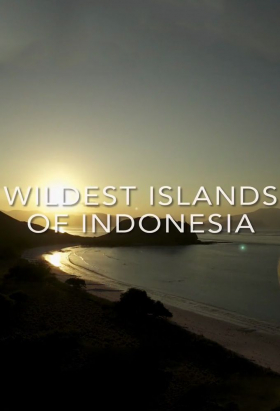 couverture film Wildest Islands of Indonesia