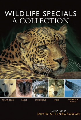 couverture film Wildlife Specials