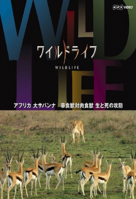 couverture film Wildlife