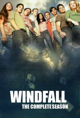couverture film Windfall : Des dollars tombés du ciel