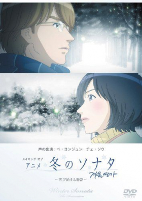 couverture film Winter Sonata