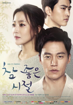 couverture film Wonderful Days