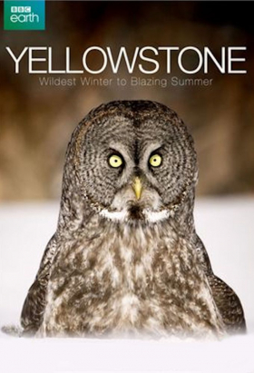 couverture film Yellowstone: Wildest Winter to Blazing Summer