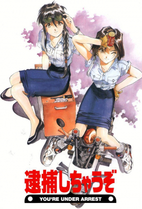 couverture film You&#039;re Under Arrest
